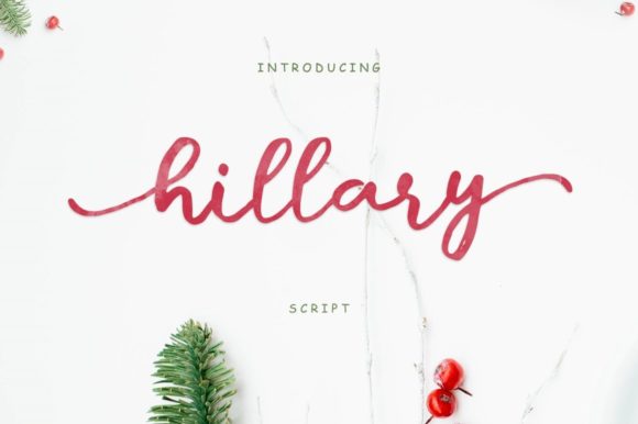 Beautiful Script Font for Creative Projects
