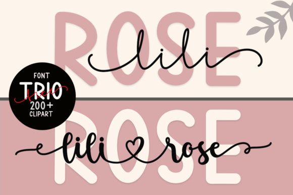 Lilirose Font: Elegant Script for Web Design