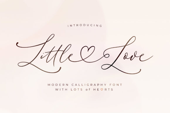 Little Love Font: Elegant Script for Makers