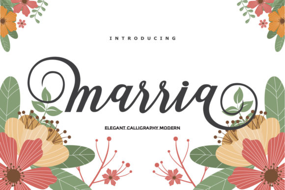 Marria Script: Elegant Calligraphy for Web Design