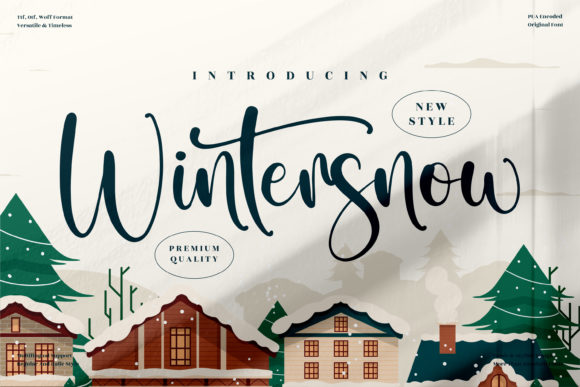 Wintersnow: A Font That Elevates Campaigns